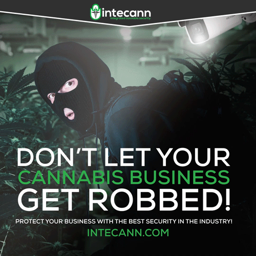 Intecann